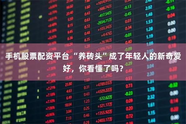 手机股票配资平台 “养砖头”成了年轻人的新奇爱好，你看懂了吗？